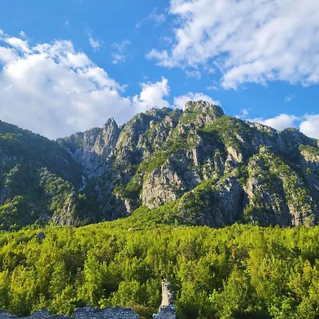 Symphony ホステル *