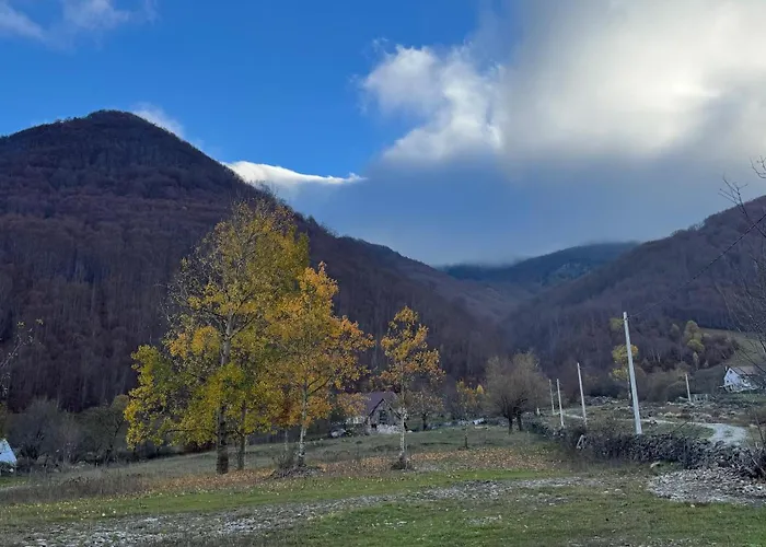 ホステル Symphony