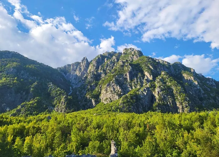 Symphony ホステル *