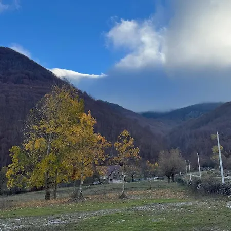 بيت شباب Symphony