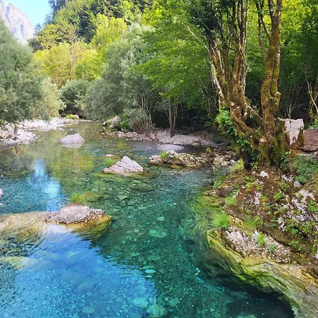 Symphony بيت شباب