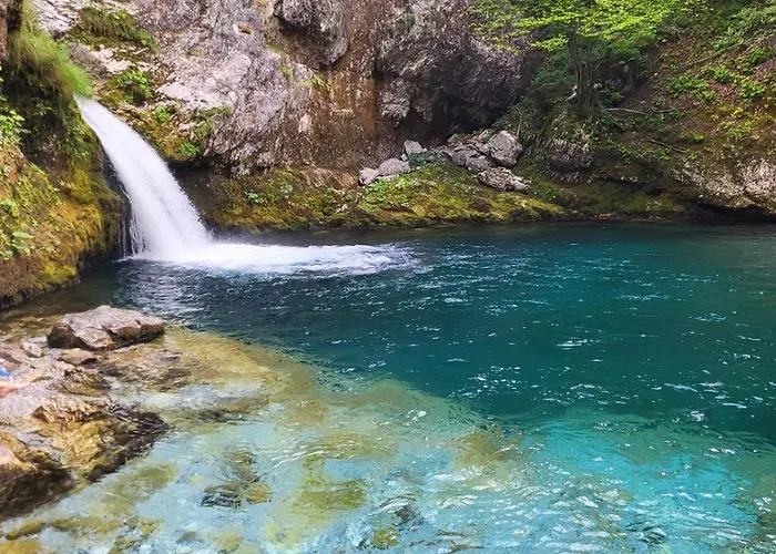 بيت شباب Symphony شكودر